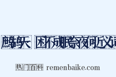 鹧鸪天·困不成眠奈夜何近义词是什么意思的图片